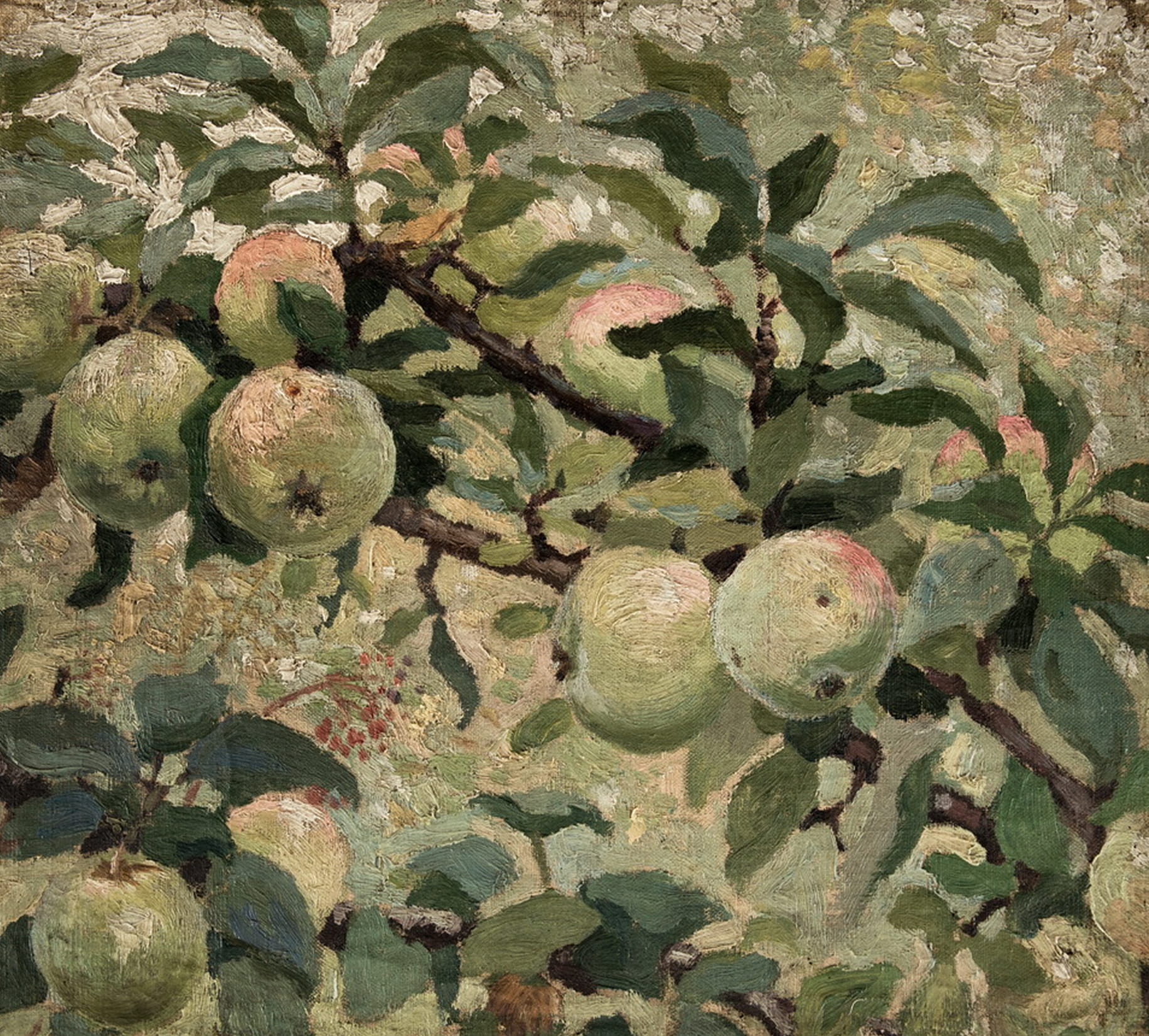 Яблоки на ветке. 1914